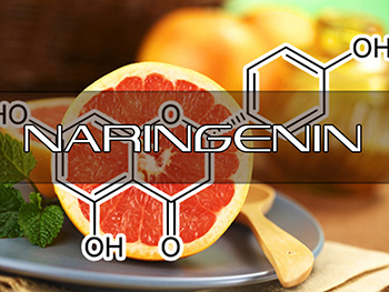 What Is Naringenin Used For？